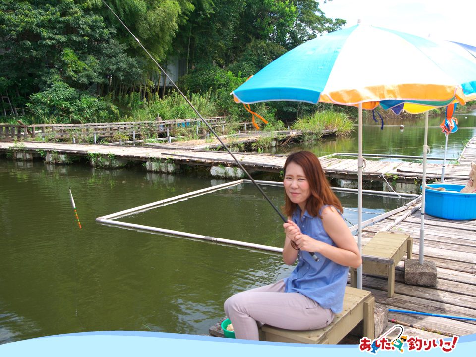 ヘラブナ釣り堀 吉野池 あした 釣りいこ 通信