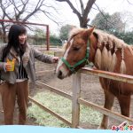 清水公園 ポニー乗馬体験