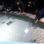 イタリア・ジェノバ水族館