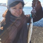 静岡県でカマス釣り！