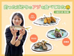 お刺身！アジフライ！天ぷら！釣ったばかりのアジを食べてみた🤤【金沢八景・荒川屋】
