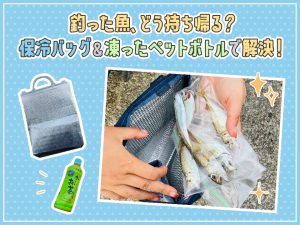 【知っておきたい✅】釣った魚どう持ち帰る？「保冷バッグ＆凍ったペットボトル」で解決！